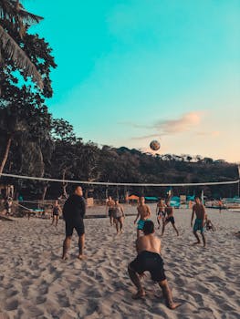 Vapaakenttä Peli: Opi Pelaamaan, Ominaisuudet Ja Strategiat