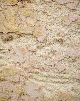 Casumo Vedonlyönti: Bonukset, Kokemukset Ja Pelivalikoima