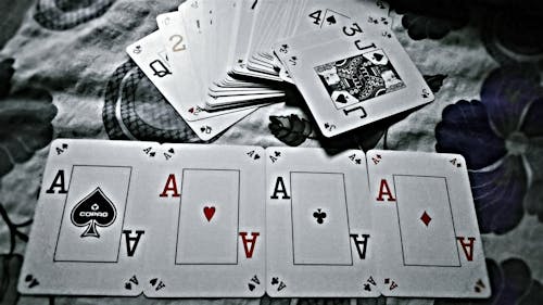 Casino-113