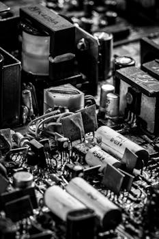 Ringtone Kasino Nyanyian Koodo Kasino: Koodo Ja Ringtones Pelissä