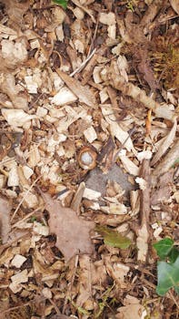 Pelikonepasianssi: Säännöt Ja Pelityypit Suomalaisessa Nettipelaamisessa