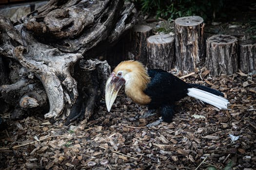 Uudet Nettikasinot Ilman Rekisteröitymistä: Tietoa Ja Vinkkejä