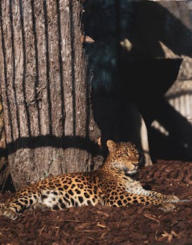 Lainaa 100 €: Tietoa Pikavipeistä Ja Laina-mahdollisuuksista Rahantarpeeseen