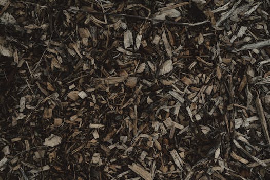 Lainalaskuri Säästöpankki: Rahoituksen Suunnittelu Ja Vertailu