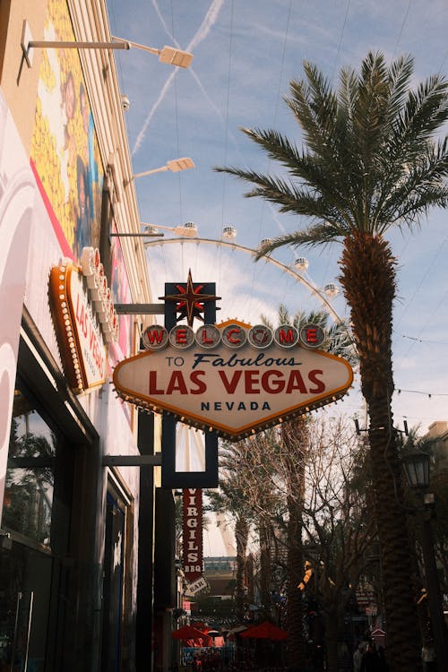 Kuinka Pelata Pasianssia: Ohjeet Ja Vinkit Aloituksesta Voittoon