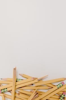 Opiskelijan Pankkilaina: Selkeät Ohjeet Ja Mahdollisuudet