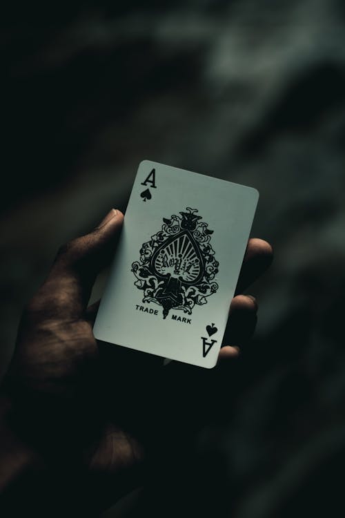 Casino-213