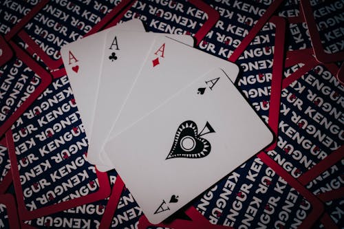Casino-224