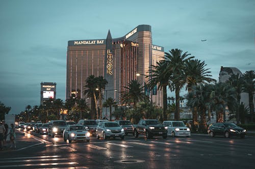 Casino-251