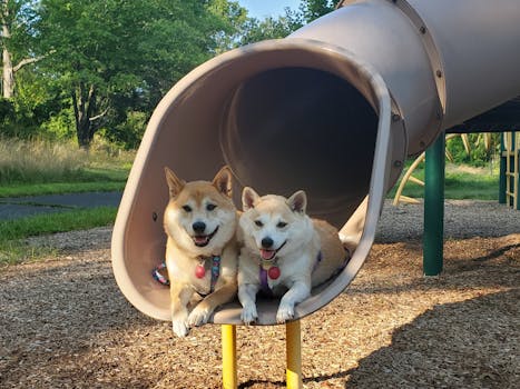 Yrityslaina Pitkällä Maksuajalla: Rahoitusvaihtoehdot Ja Edut