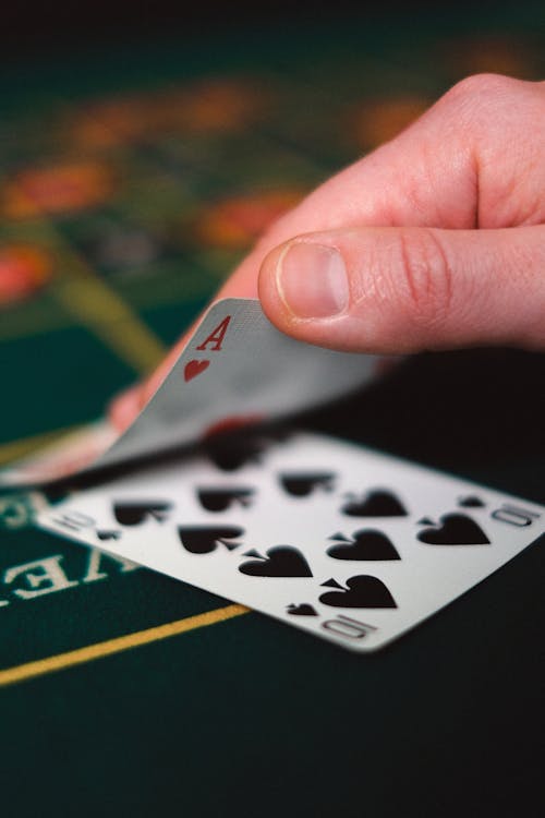 Casino-293