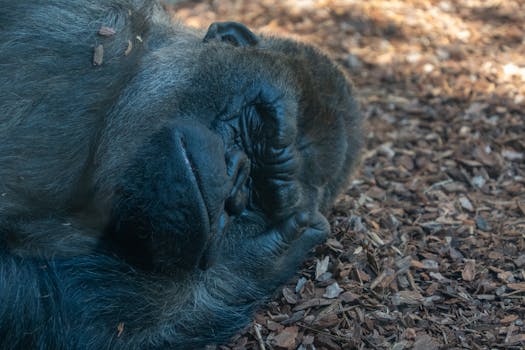 Lainaa Ilman Tuloja Ja Vakuuksia: Mahdollistaeko Kulutusluotto Ilman Tulojen Todistamista
