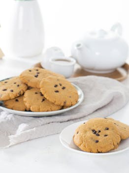 Ninjacasino Bonus: Parhaat Tarjoukset Ja Ehdot Suomalaisille