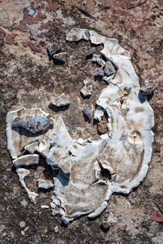 Uusia Lainoja: Opas Uusien Lainojen Hakemiseen Ja Vertailuun