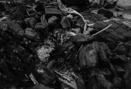 Casino-4335