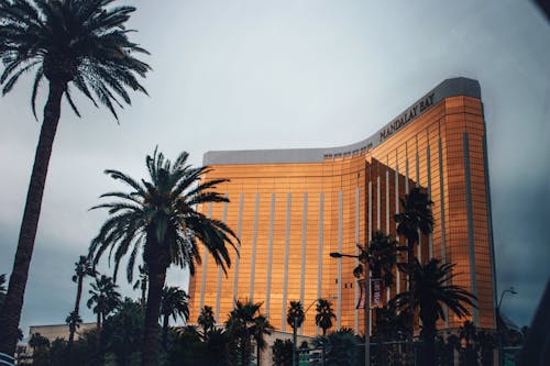 Casino-560