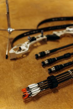 Roovertische Leijonakasino: Kasinopelejä Ja Pelivalikoimaa