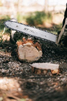 Wheelz Arvostelu: Tietoa Kasinon Tarjonnasta, Bonuksista Ja Kokemuksista