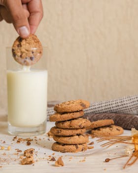 Yritys Laina Nordea: Rahoitusratkaisut Yrityksille