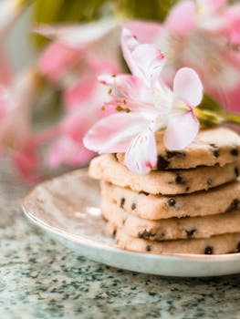 Pop Visa Electron - Maksukortti Ja Sen Käyttö Casino- Ja Peli-ympäristöissä