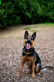 Lainavertailu Ja Vinkit Edulliseen Lainaamiseen Netistä: Halpa Laina Netistä