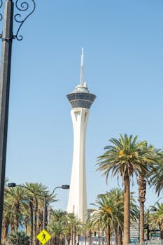 Casino-6709
