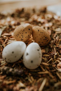 Eurolimiitti Kirjaudu: Oppaasta Löydät Tiedot Ja Ohjeet Suomalaisille Pelaajille