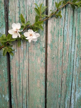 Bigbank Autolaina Kokemuksia Ja Lainapalveluiden Arviointi