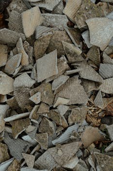 Leijona Kasino 15 Dollar – Parhaat Vinkit Ja Tarjoukset Suomalaisille Pelaajille