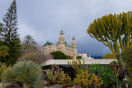 Luotettavin Nettikasino: Valinta Ja Ominaisuudet