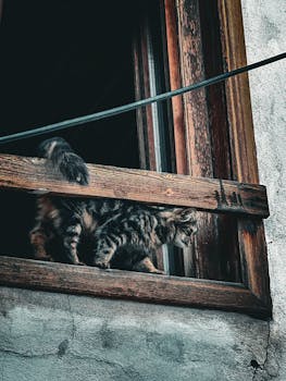 Finnair Plus Mastercard Kokemuksia Ja Arvioita