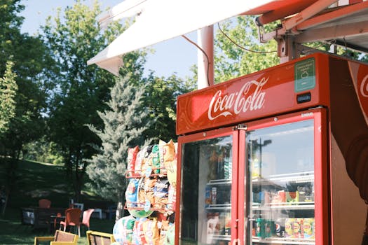 Op Visa Maksut: Kulut Ja Maksutavat