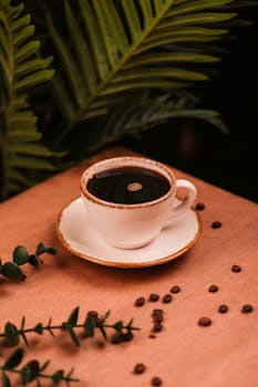 Kasinopelit Bonus: Opas Parhaisiin Tarjouksiin Ja Hyötyihin