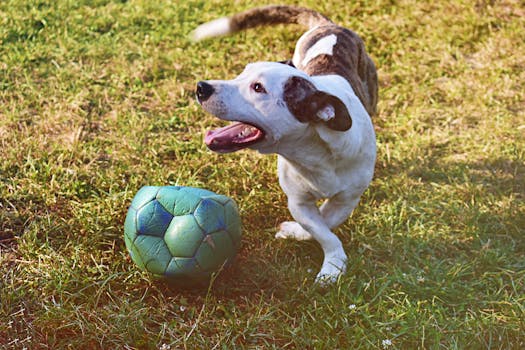 Twin Kasino: Suomalaisen Kasinoympäristön Vetonaula